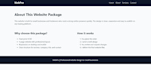 design my client website professional and vip