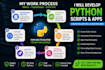 develop custom python scripts, automation and bug fixes