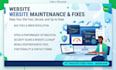 maintain and fix your website professionally