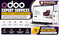 odoo erp expert design odoo website, b2b ecommerce website odoo module developer