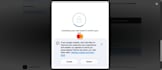 setup payment gateway like stripe via codarab payments