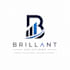 professinal modern logo design
