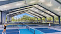 design 3d pickleball court, sports facility, recreation space