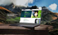 be your wordpress developer for website development