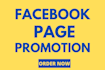 do organic facebook page or group promotion