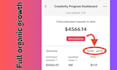 grow your tiktok organically and help with tiktok monetization