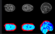do computer vision, ocr, image processing, yolo, python