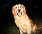 create 100 high quality ai image prompts for you