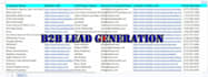 do b2b lead generation and targeted email list building