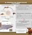 creare flyers de calidad para ti