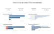 create a professional data dashboard and visualization