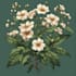 create detailed botanical illustrations and plant art