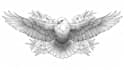 create an individual tattoo sketch