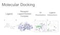 do receptor ligand docking and molecular interactions for drug discovery