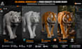 do 3d animal model, character modeling, rigging for unreal engine, unity, mixamo