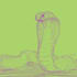 draw your pet or any animal