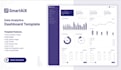 perform expert data cleaning and business data analysis
