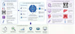 do scientific writings and infographics