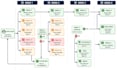 setup mailchimp automation flows and expert email segmentation