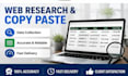 do accurate data entry, copy paste, PDF to excel, excel data entry