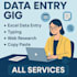 accurate data entry, copy paste, excel data entry