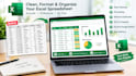 clean, format and organize your excel spreadsheet