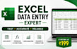 do excel data entry, pivot tables, formatting, charts and graphs