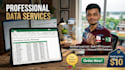 excel data entry, copy paste, and web research