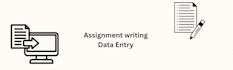 do fast data entry and assignment writing