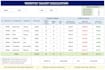 design a professional salary excel sheet
