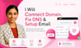 connect domain, fix dns, setup email