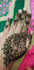 teach you professional henna mehndi design