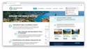 design redesign multilingual bilingual squarespace website