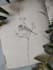 design a custom small tattoo for you