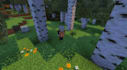 customize optimize minecraft shader pack texture pack resource pack and addon