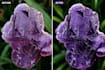 do professional ai image editing and photo editing