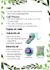 create aesthetic study notes in canva