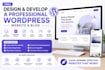 design and develop a professional wordpress website and blog