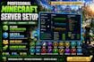 setup a professional minecraft smp server with plugins