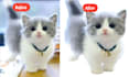 design catchy youtube thumbnails and do background removal
