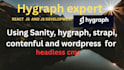 build hygraph cms websiteand headlesscms solution