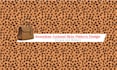 create premium animal skin and texture pattern design