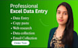 do accurate data entry ,excel sheet