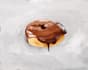 make a custom food illustration