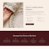 create a modern clothing, fashion and boutique website