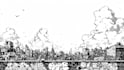 draw professional black and white ink illustration