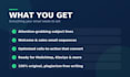 write high converting email sequences and newsletter copy