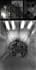 create a masterpiece art for you, I can adapt your needed style intelligently