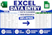 do excel data entry and data cleaning