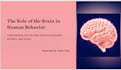 craft modern and engaging powerpoint slides